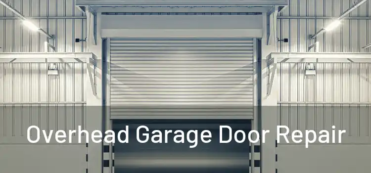  Overhead Garage Door Repair 